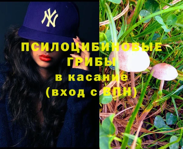 мет Абинск